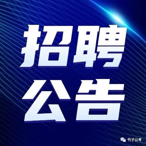 2026河北张家口康保县委招聘见习人员公告